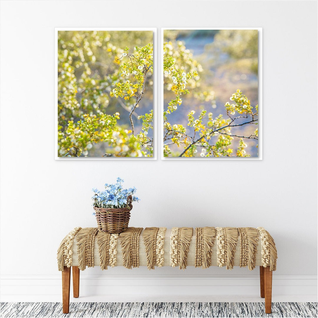 Yellow Desert Blooms #1 - set of 2