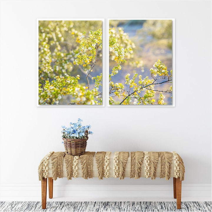 Yellow Desert Blooms #1 - set of 2