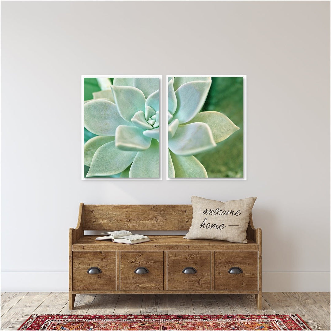 Green Succulent - Set of 2