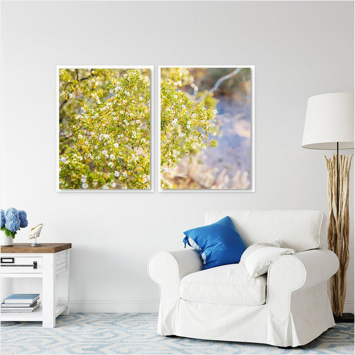 Yellow Desert Bloom #2 - Set of 2