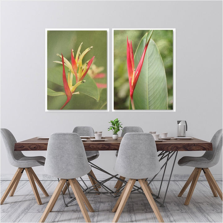 Heliconia - Set of 2