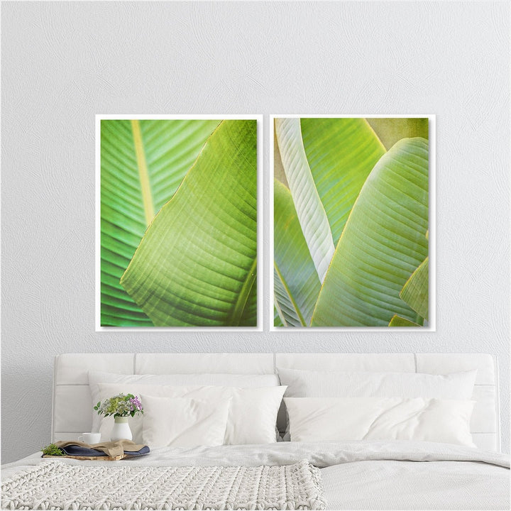 Banana Leaf Collection 1 - Set of 2