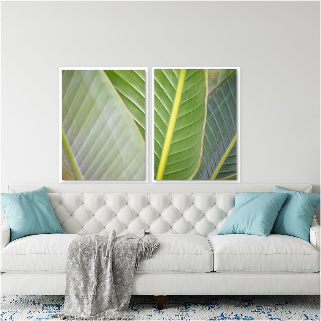 Banana Leaf #3 - Set of 2