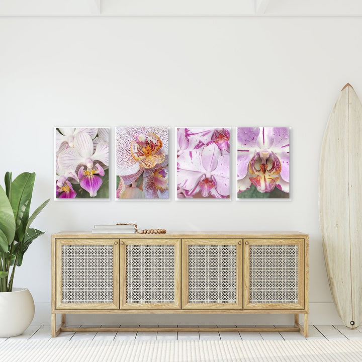 Pink Orchids - Set of 4