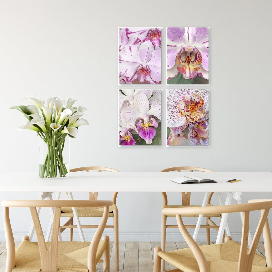 Pink Orchids - Set of 4