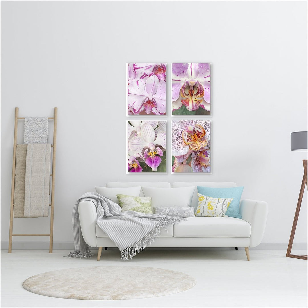 Pink Orchids - Set of 4