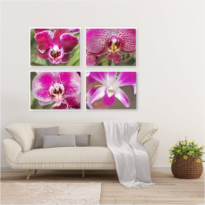 Deep Pink Orchids - Set of 4