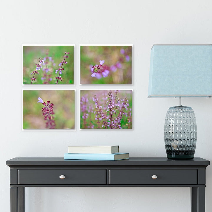 Florida Wildflowers - Set of 4