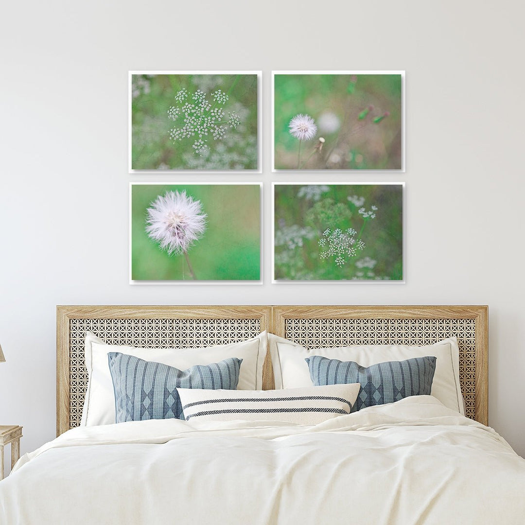 Florida Wildflowers Collection #1 - Set of 4