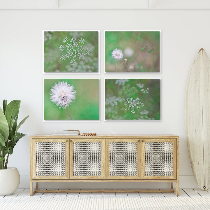 Florida Wildflowers Collection #1 - Set of 4