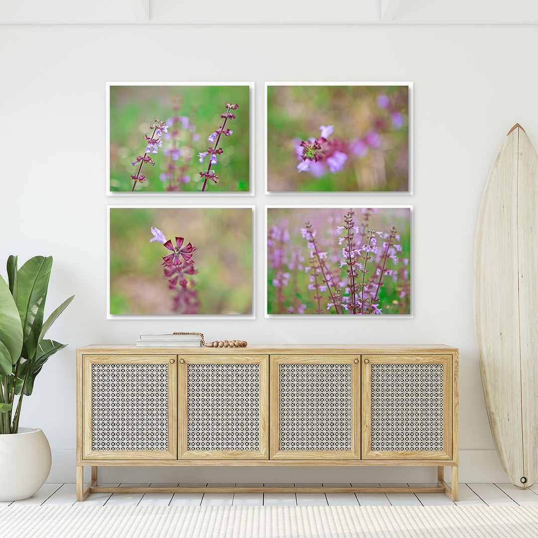 Florida Wildflowers - Set of 4