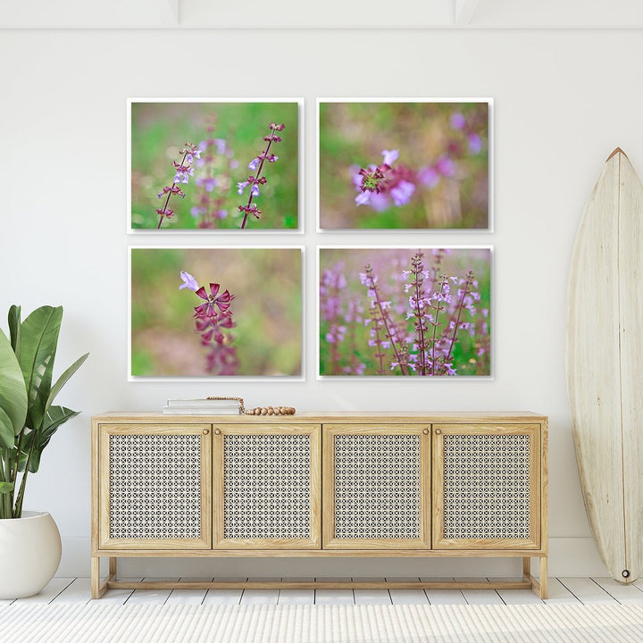 Florida Wildflowers - Set of 4