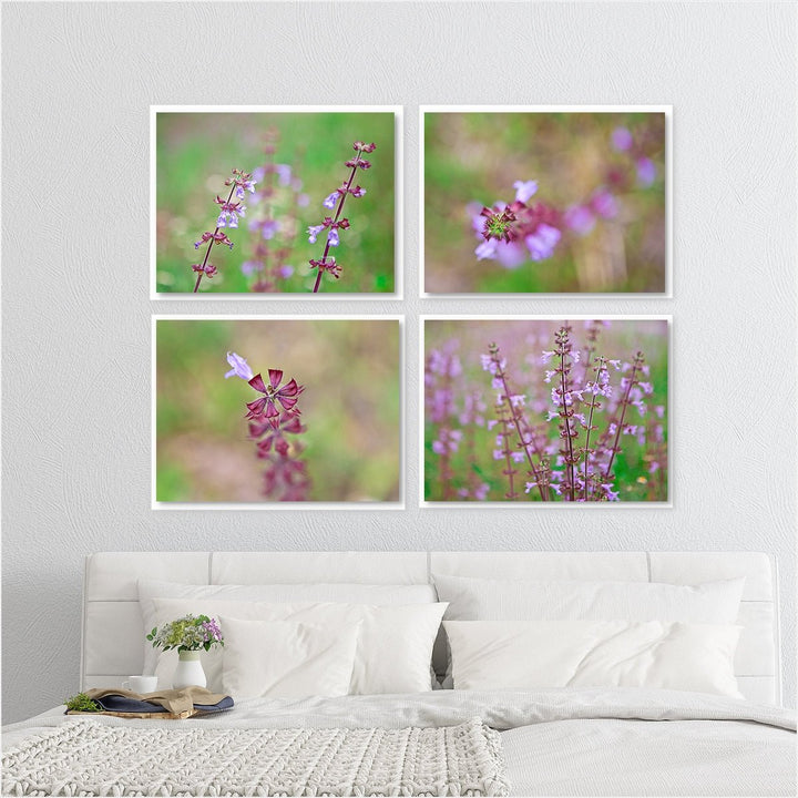 Florida Wildflowers - Set of 4