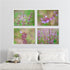 Florida Wildflowers - Set of 4 - Art Prints or Canvases