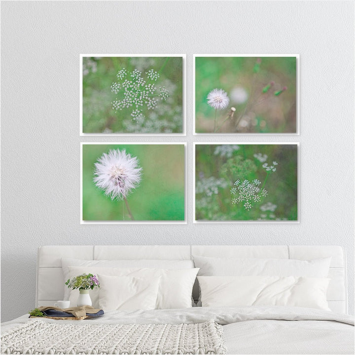 Florida Wildflowers Collection #1 - Set of 4