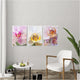 Pink & White Orchids - Set of 3 - Art Prints or Canvas
