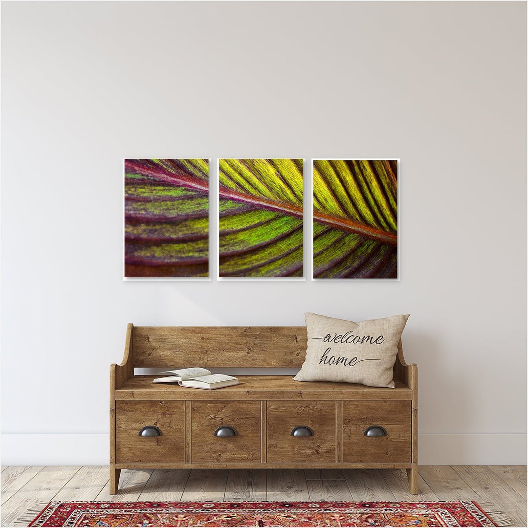 Tropical Leaf #1 Triptych - Set of 3