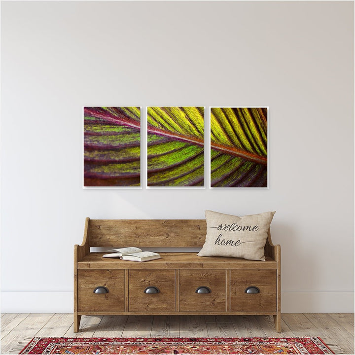 Tropical Leaf #1 Triptych - Set of 3