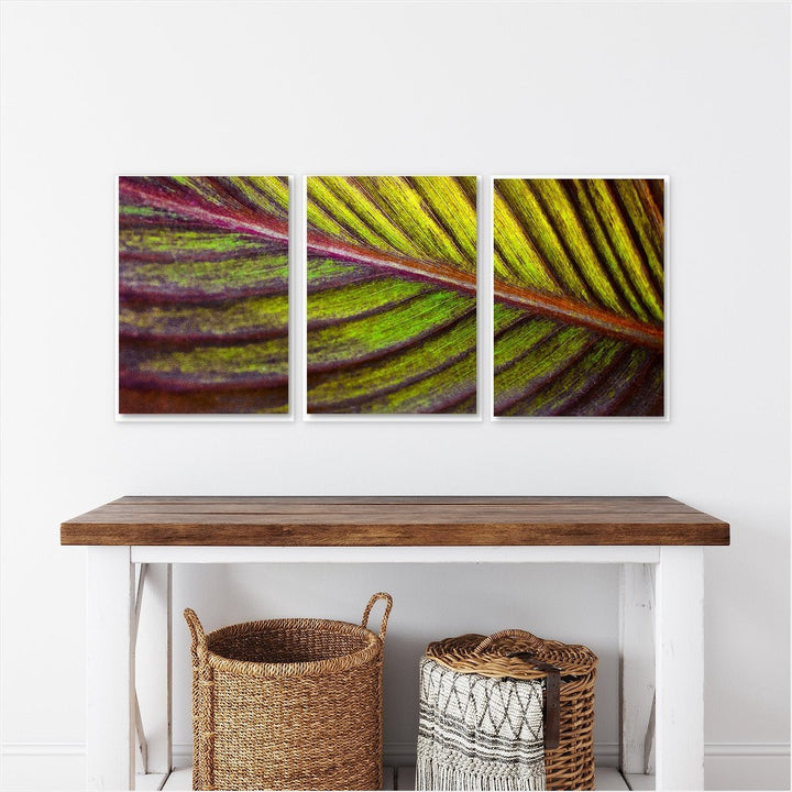 Tropical Leaf #1 Triptych - Set of 3
