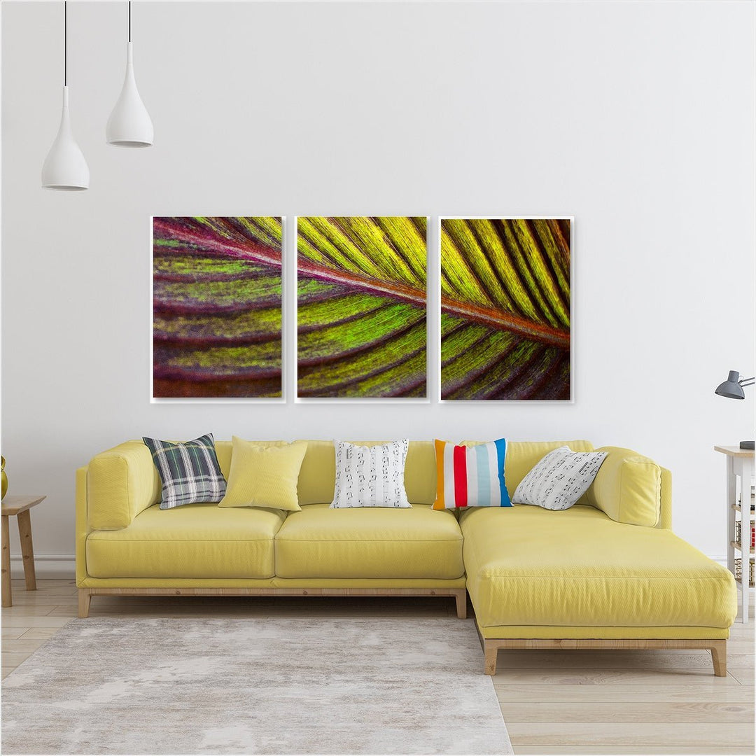 Tropical Leaf #1 Triptych - Set of 3