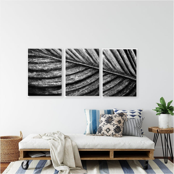 Tropical Leaf #1 Triptych B&W - Set of 3