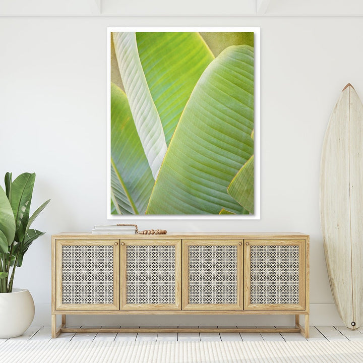 Banana Leaf #1