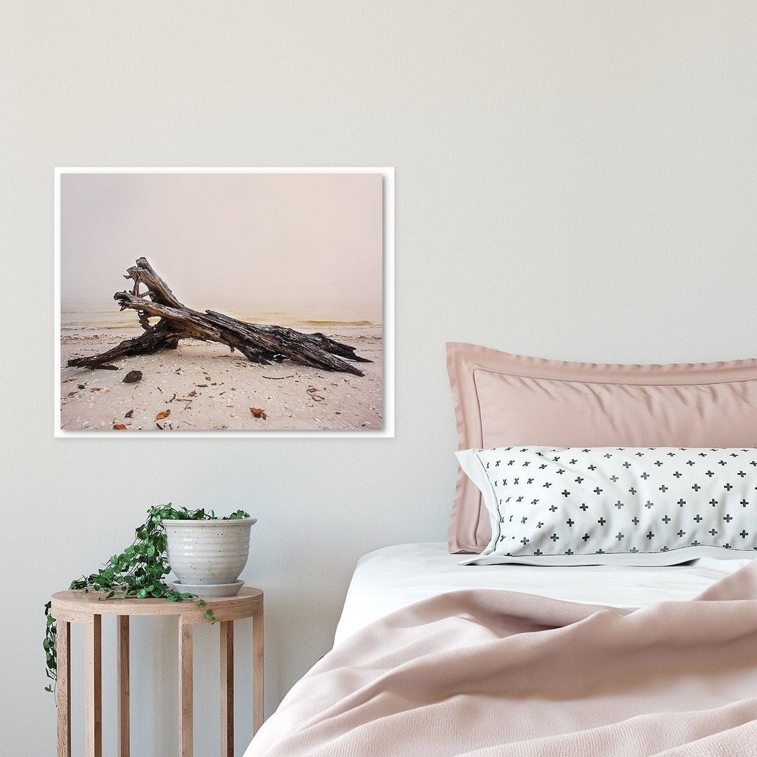 Driftwood Coastal Beach Decor