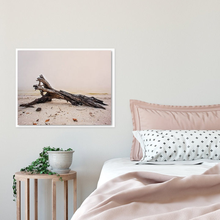 Driftwood Coastal Beach Decor