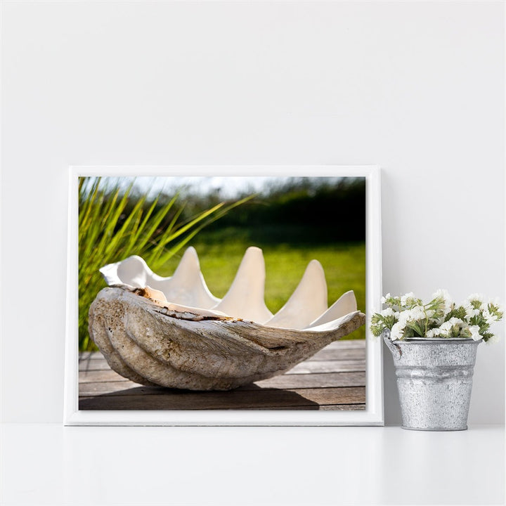Seashell Beach Decor