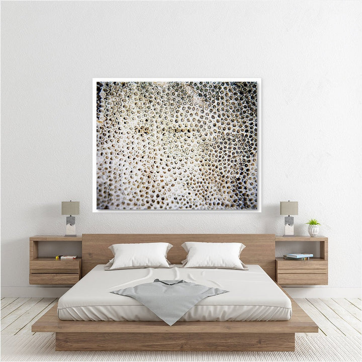 Sea Coral #1