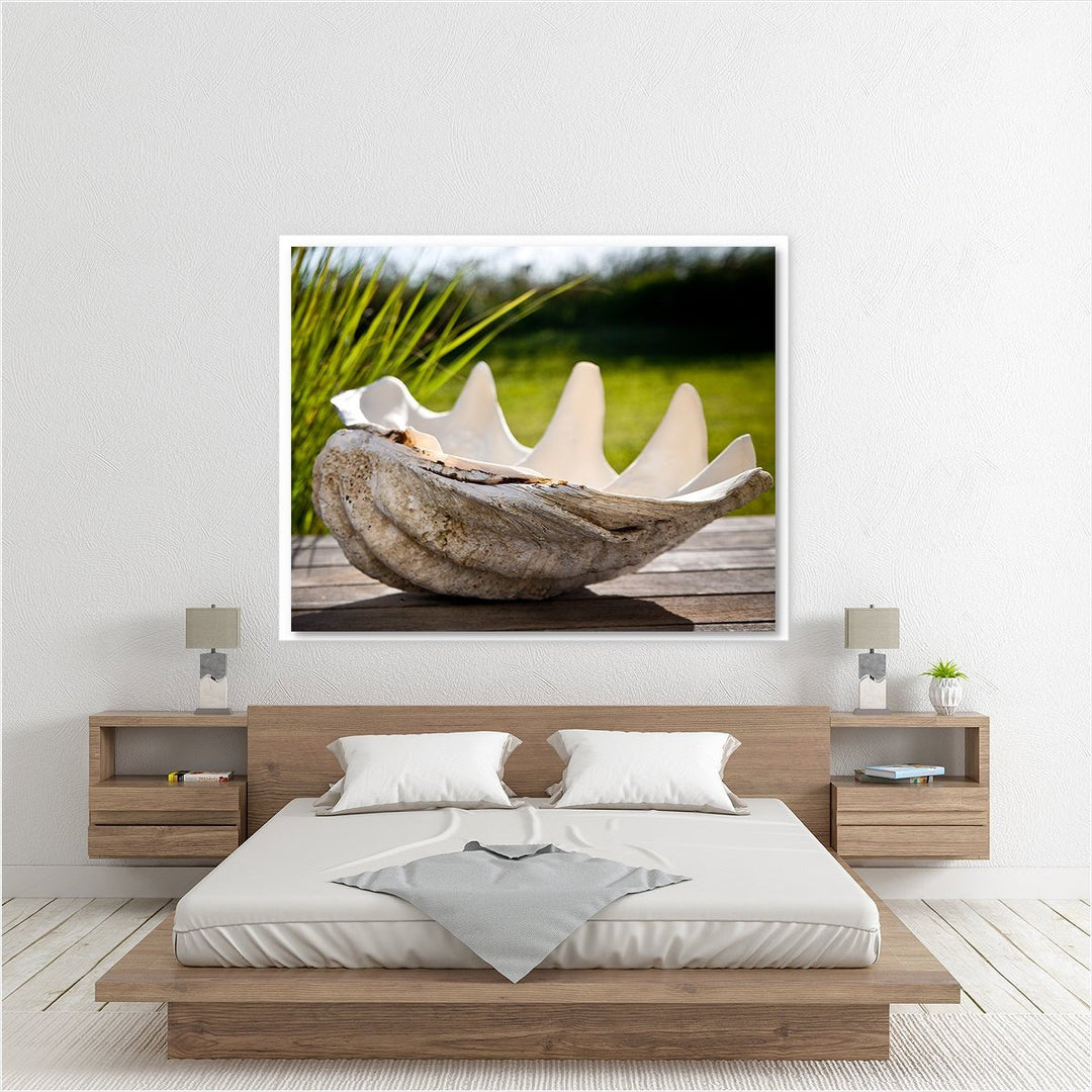 Seashell Beach Decor