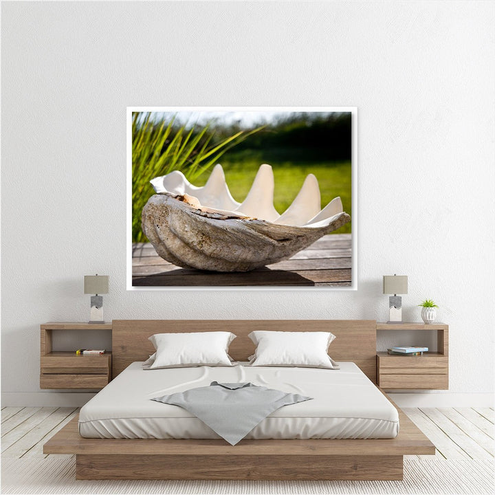 Seashell Beach Decor