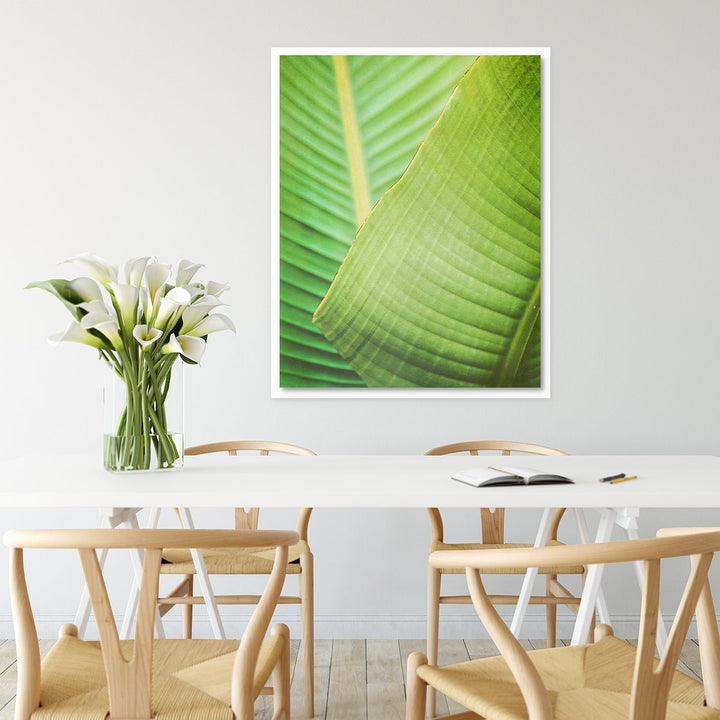 Banana Leaf #2