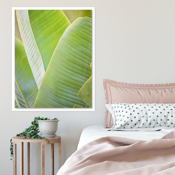 Banana Leaf #1