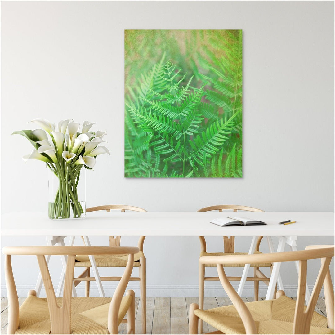 Fern #1