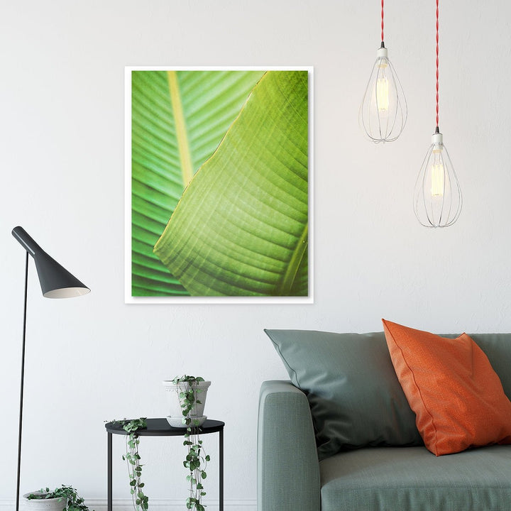 Banana Leaf #2