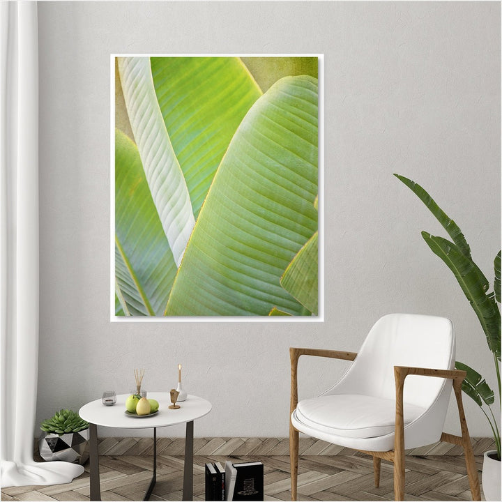 Banana Leaf #1