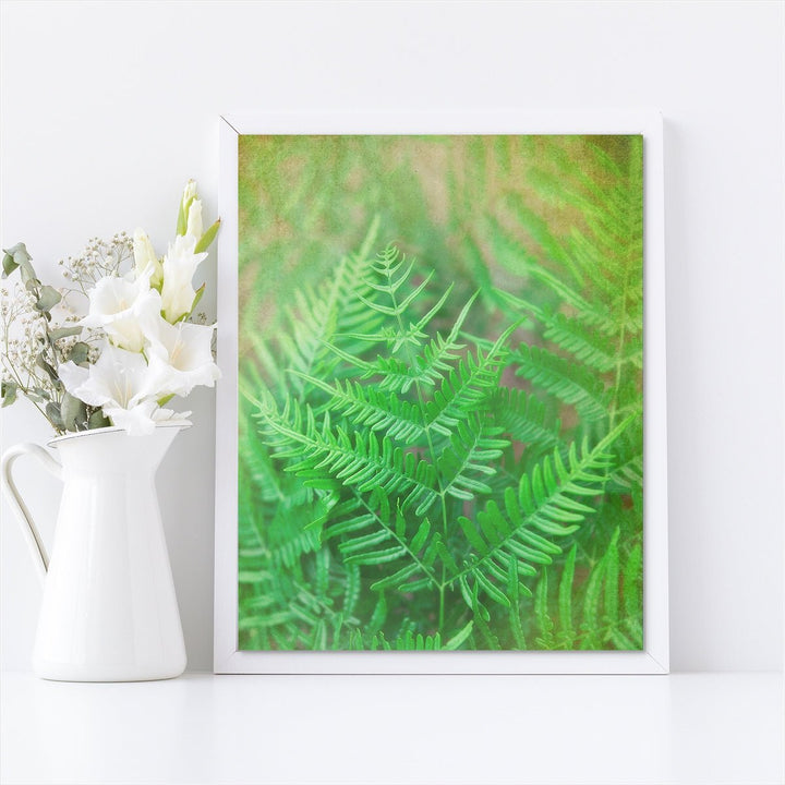 Fern #1