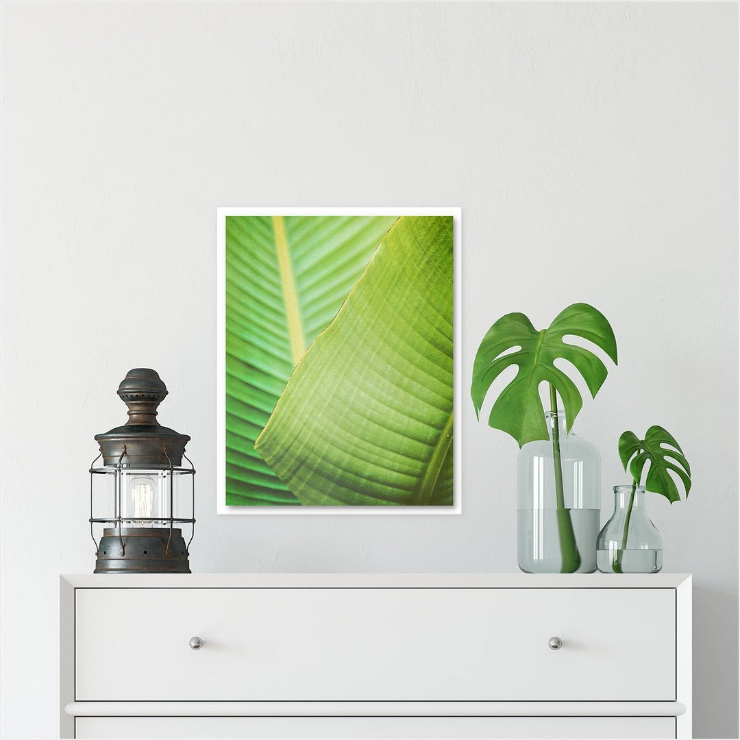 Banana Leaf #2