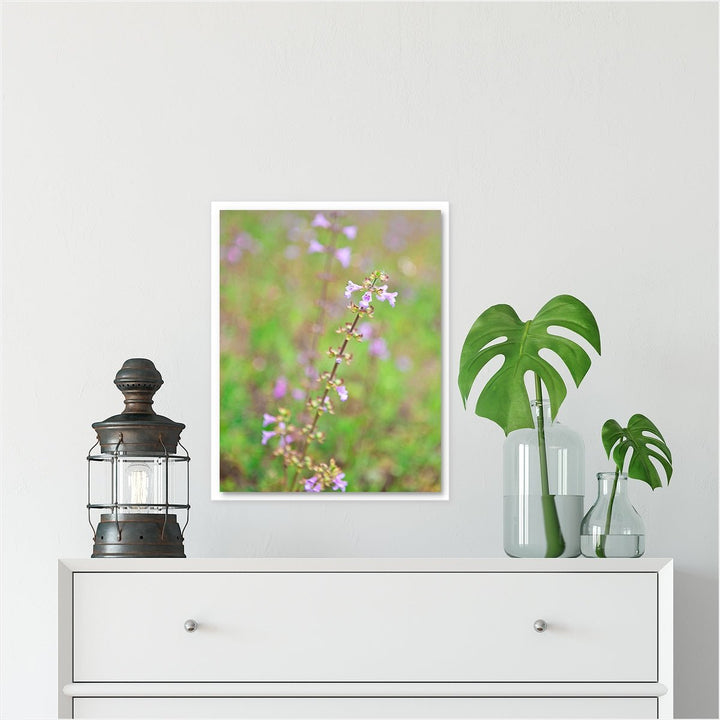 Florida Wildflower #3