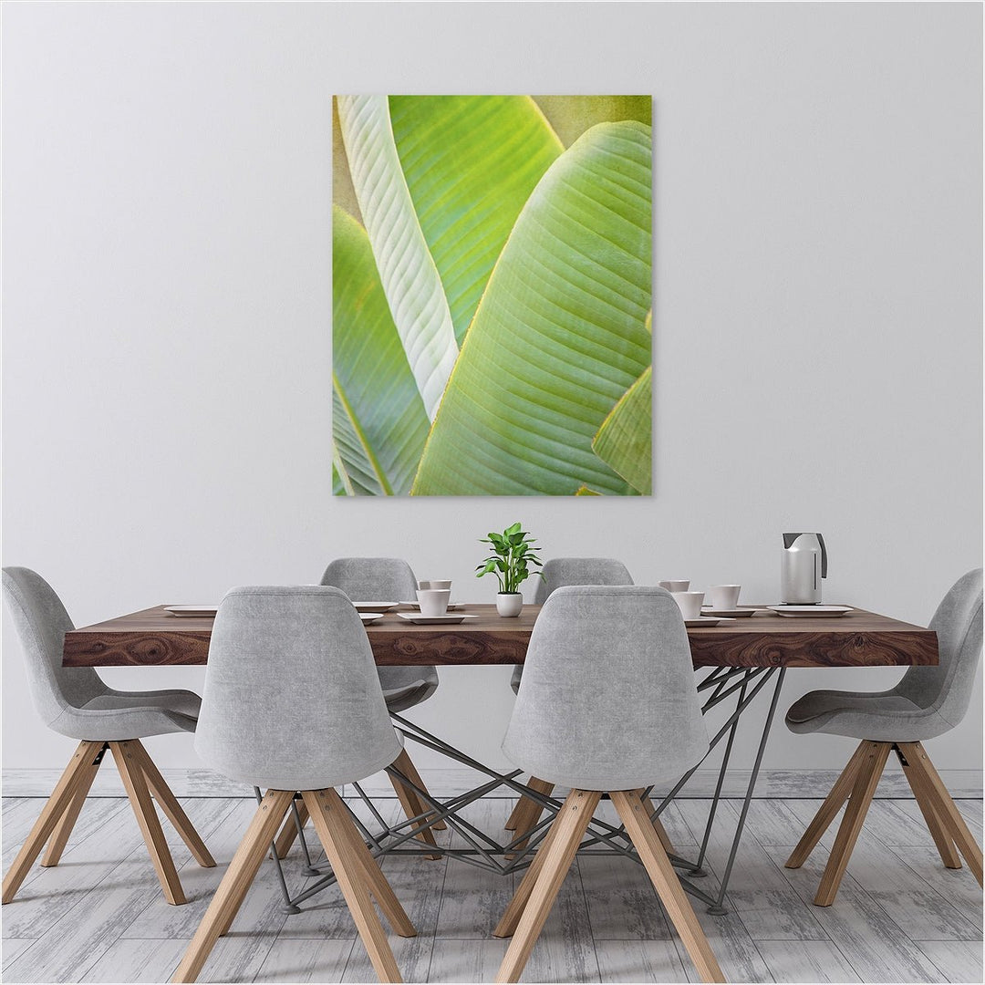 Banana Leaf #1