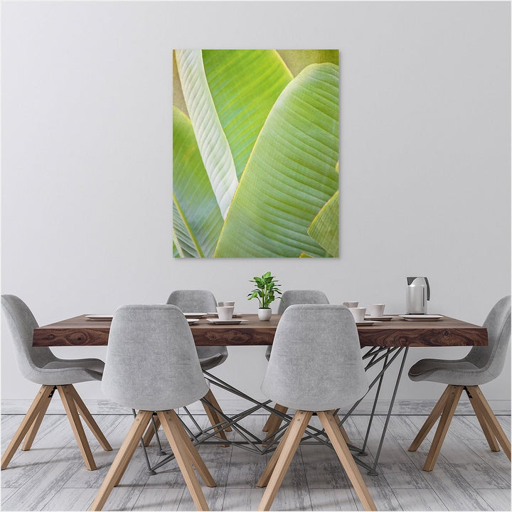 Banana Leaf #1