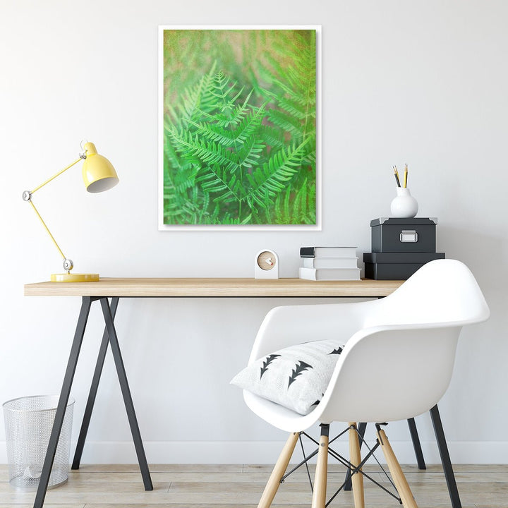 Fern #1