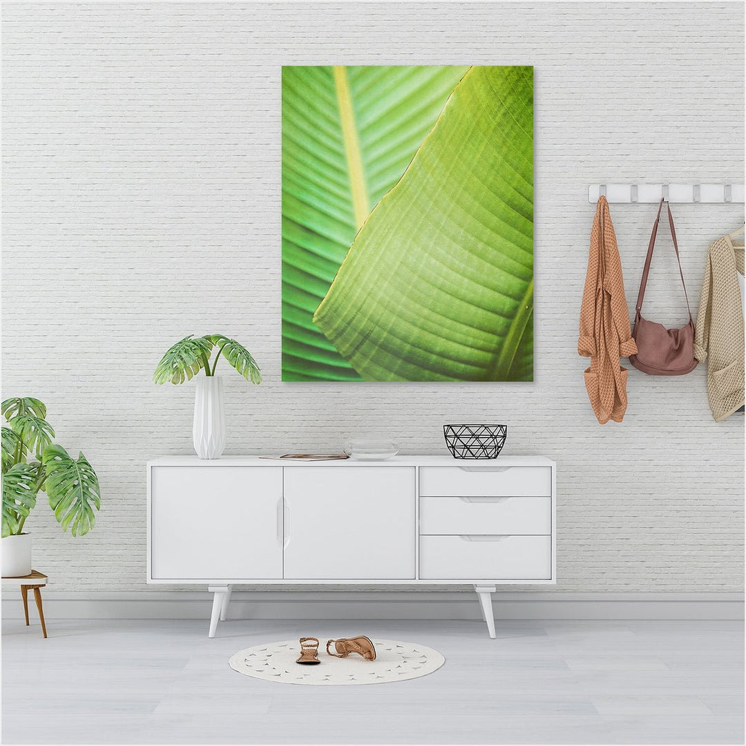 Banana Leaf #2
