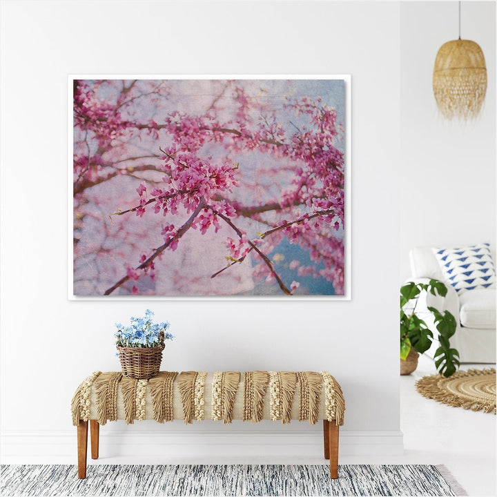 Cherry Blossom #1