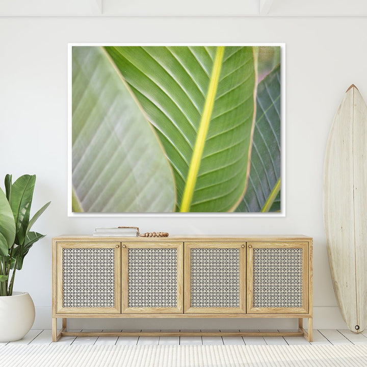 Banana Leaf #3