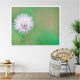 Green Dandelion - Art Print or Canvas
