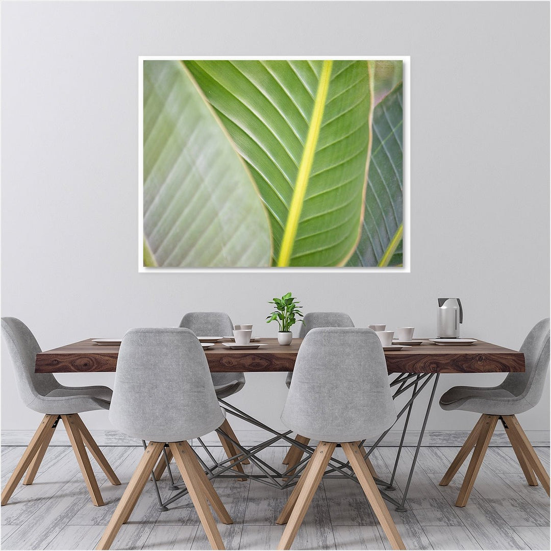 Banana Leaf #3