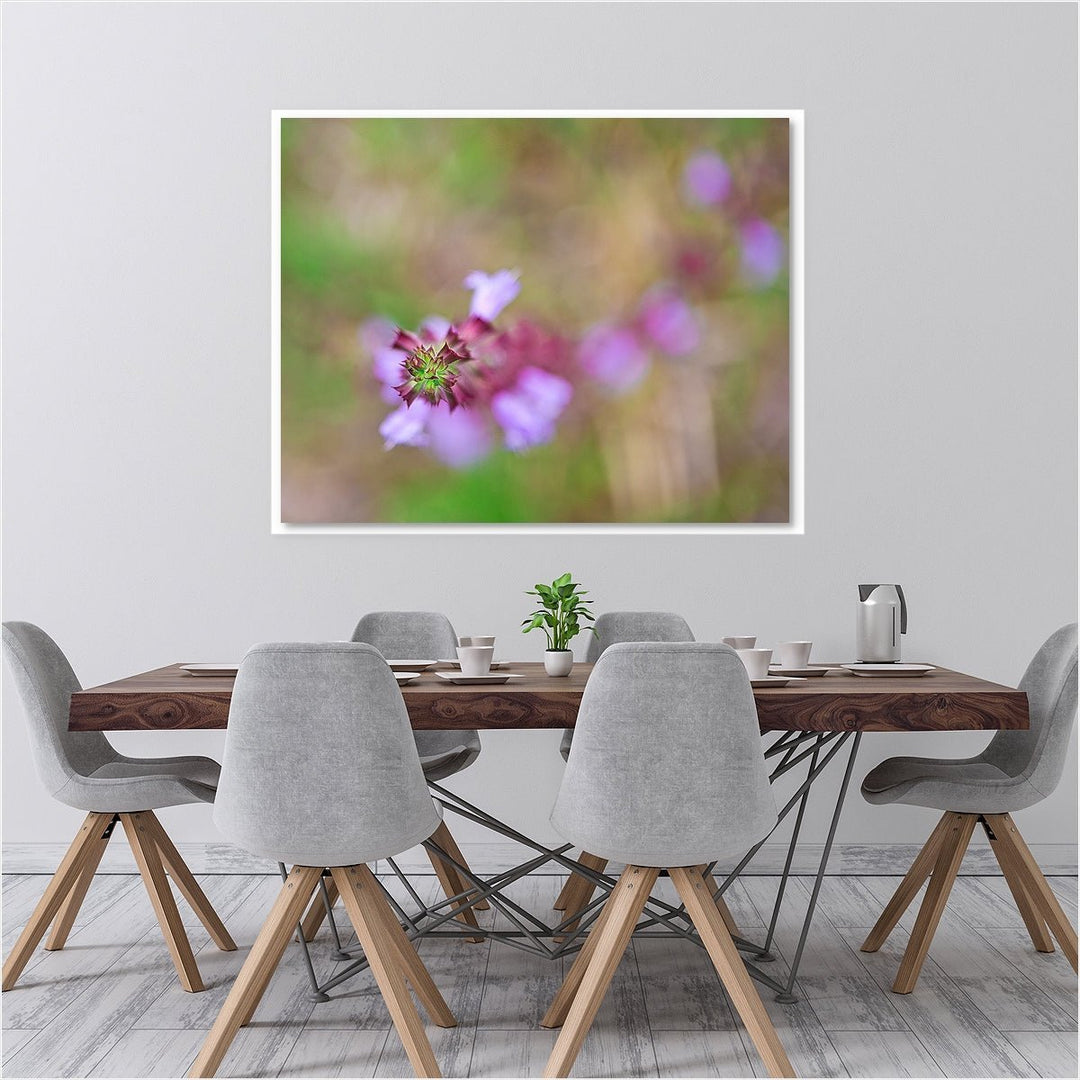 Florida Wildflower #1