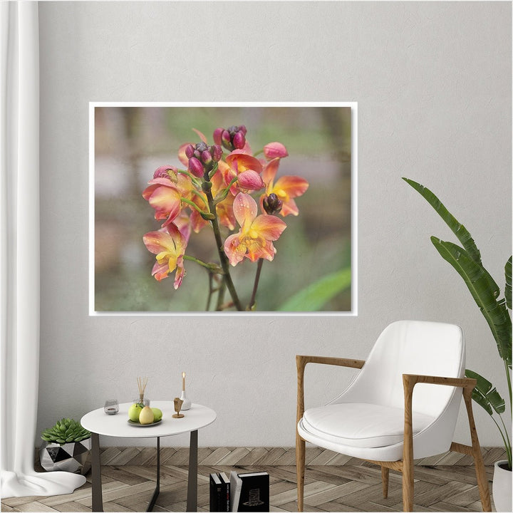 Ground Orchid #2